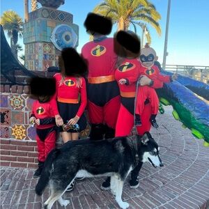 5 incredibles costumes
